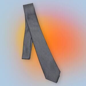 EXPRESS Men’s Silver Gray Black Skinny Tie NEW